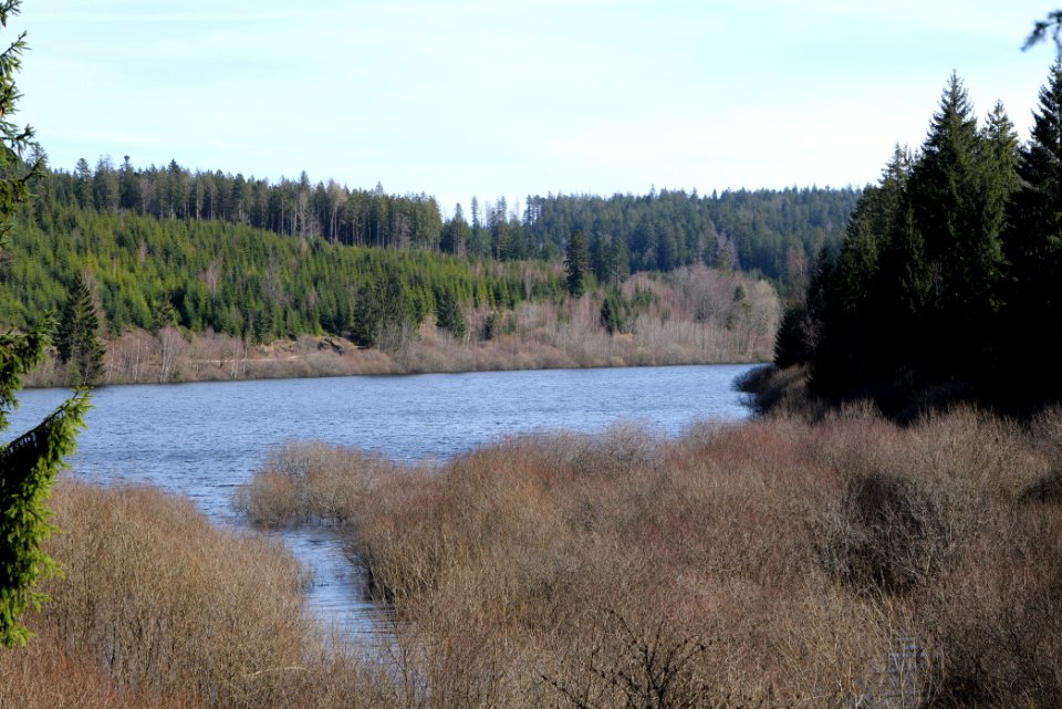 Schwarzenbachtalsperre 2020-03-15 01