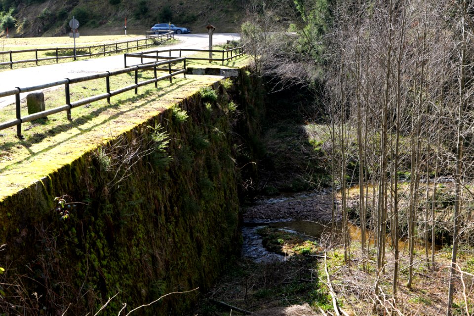 Schwarzenbach Herrenwieser Schwallung 2020-03-15 04