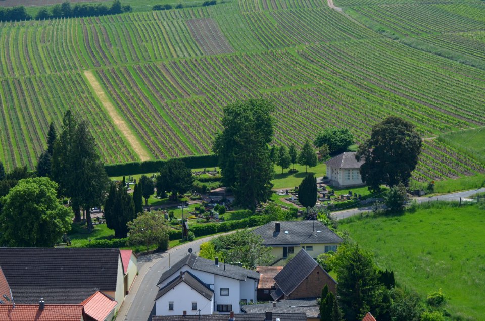 Schwabsburg, Friedhof