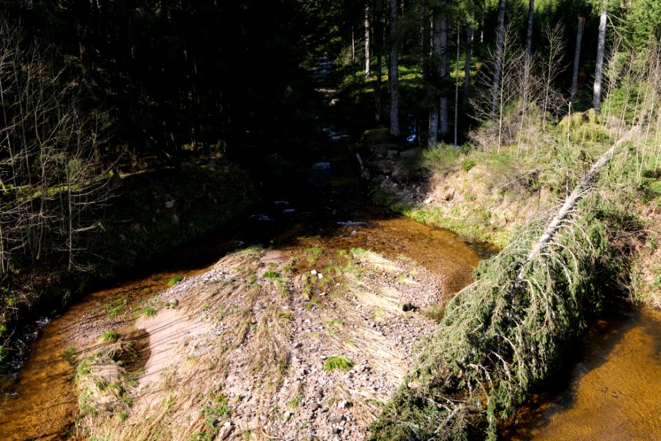 Schwarzenbach Herrenwieser Schwallung 2020-03-15 06
