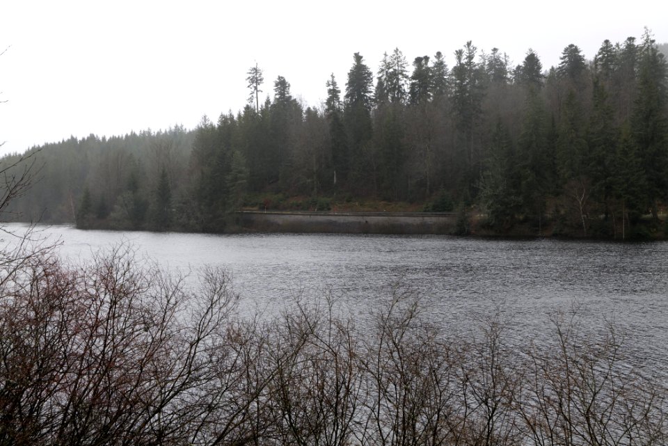 Schwarzenbachtalsperre 2020-03-10 03