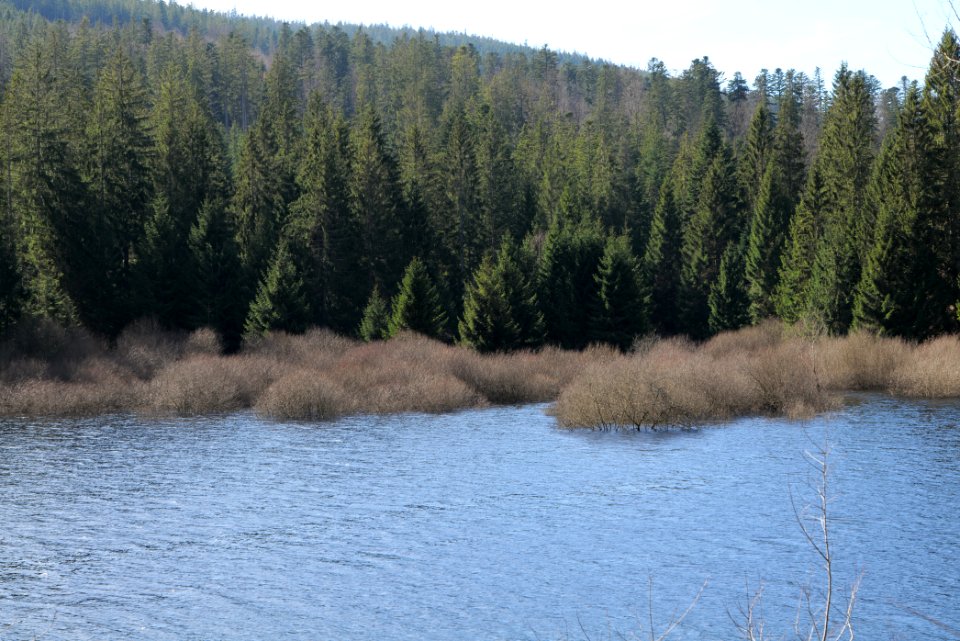 Schwarzenbachtalsperre 2020-03-15 19