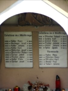 Schweinsteg 8