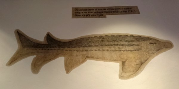 Schweinfurt fische 1