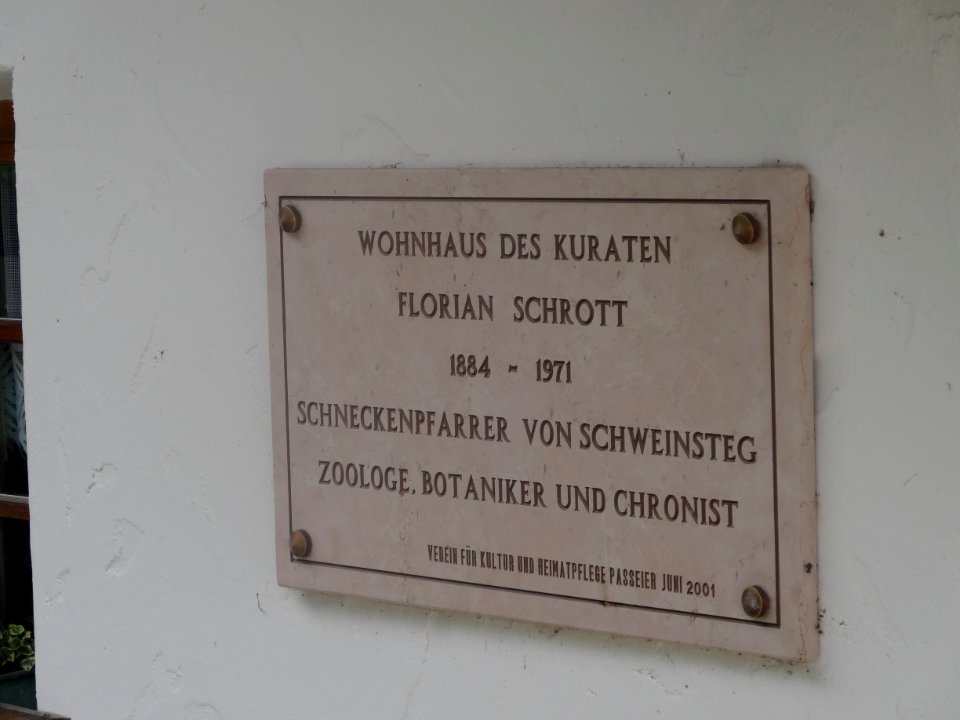 Schweinsteg 5