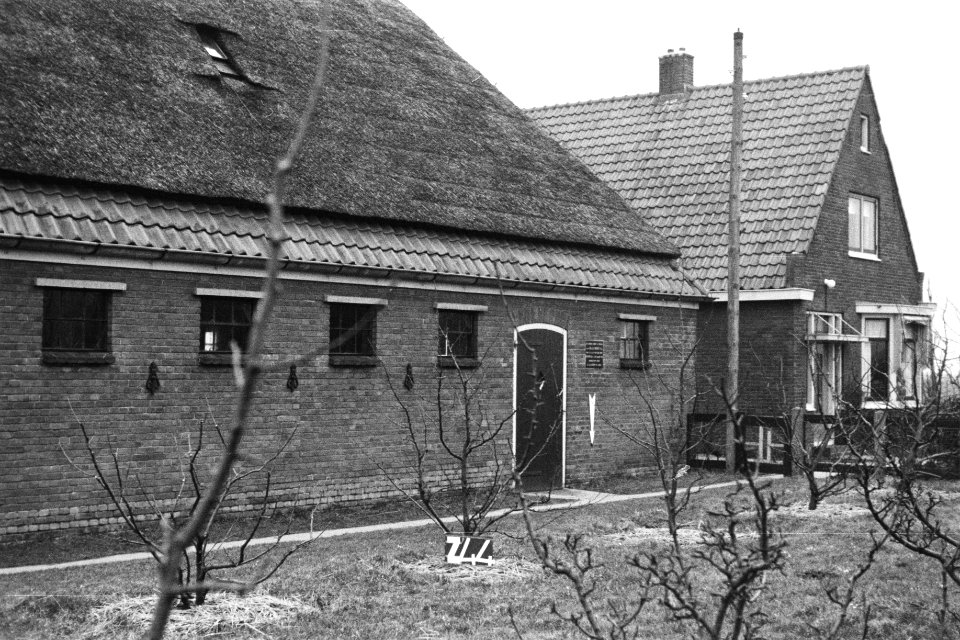 Schuur van een boerderij te Zijpe (ruilverkaveling Zijpe- en Hazepolder), Bestanddeelnr 170-1573