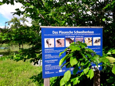 Schwalbenhaus Plaue 2
