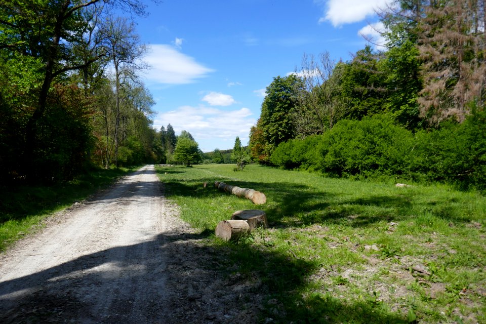 Schwaney - Bodental - 09