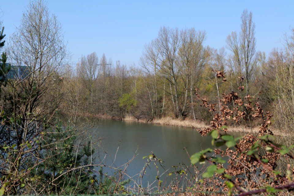 Schwanheimer Düne 2020-03-27 09