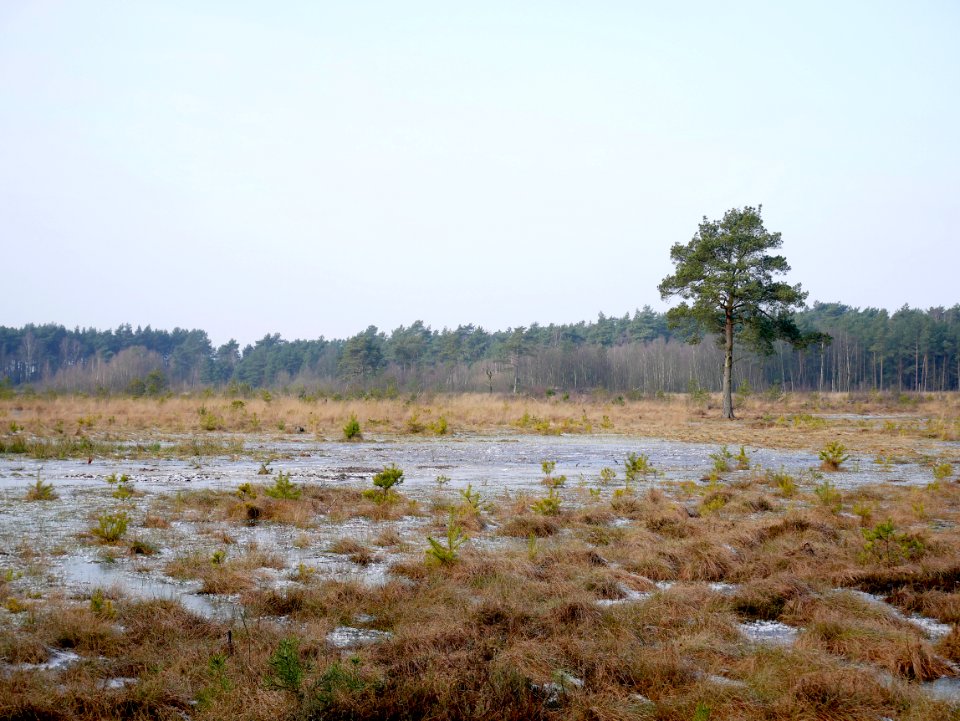 Schwarzes Moor 2018-02-10