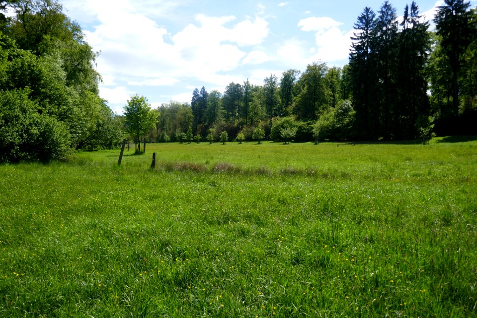 Schwaney - Bodental - 11