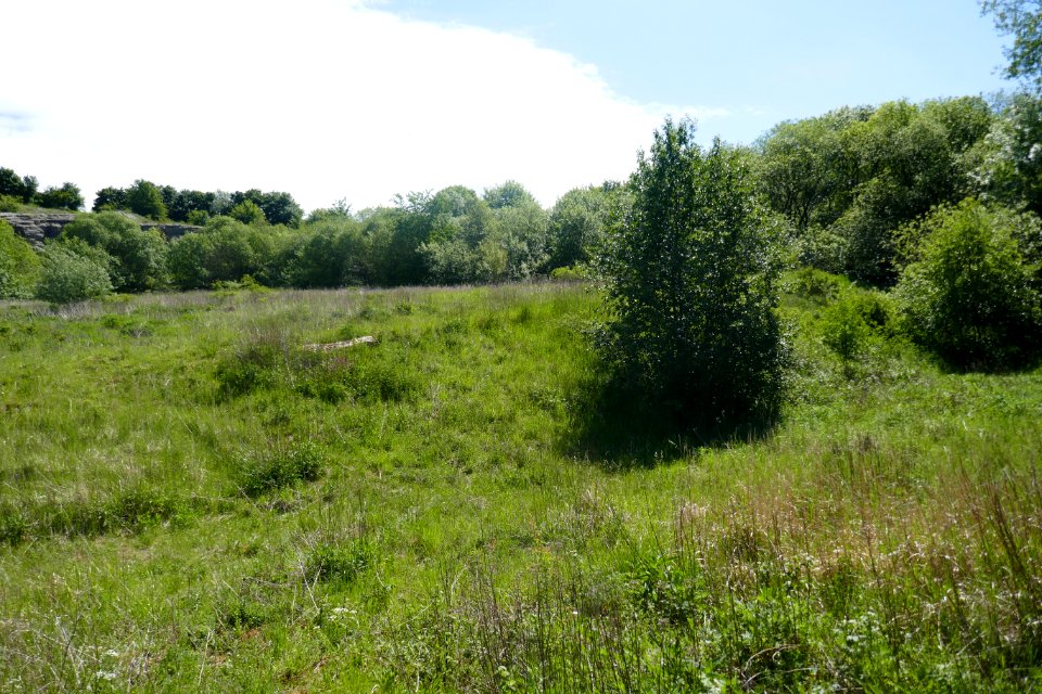 Schwaney - Steinbruch - 4