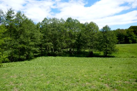 Schwaney - Bodental - 05