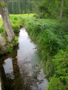 Schwarzenbachtal Kreuth 11
