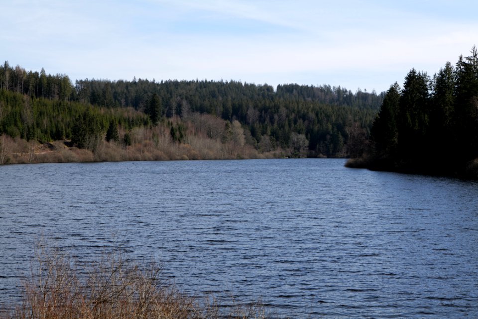 Schwarzenbachtalsperre 2020-03-15 11