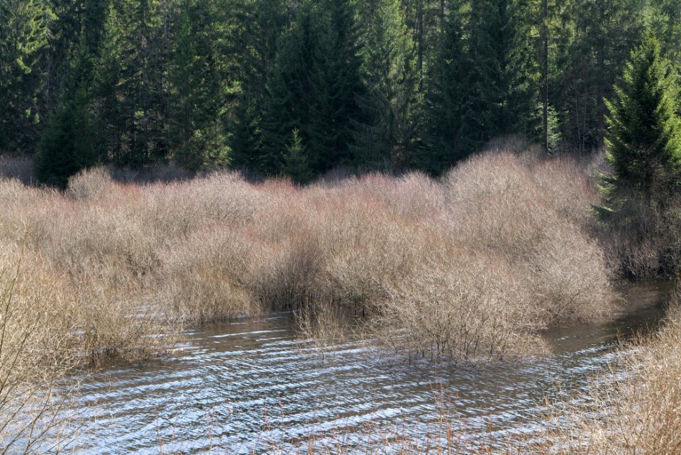 Schwarzenbachtalsperre 2020-03-15 08