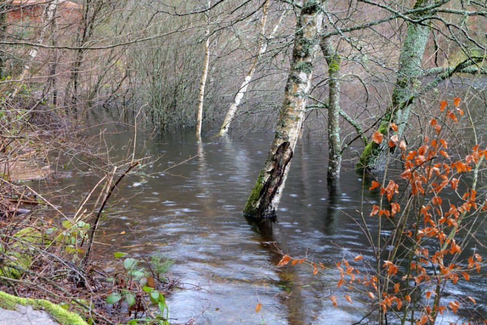 Schwarzenbachtalsperre 2020-03-10 15