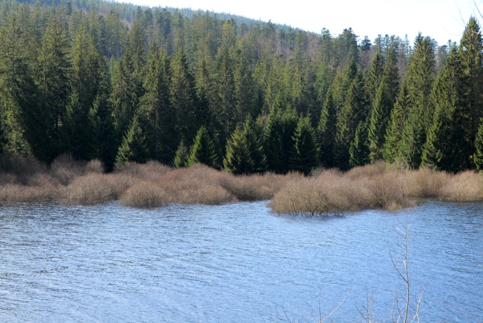 Schwarzenbachtalsperre 2020-03-15 15