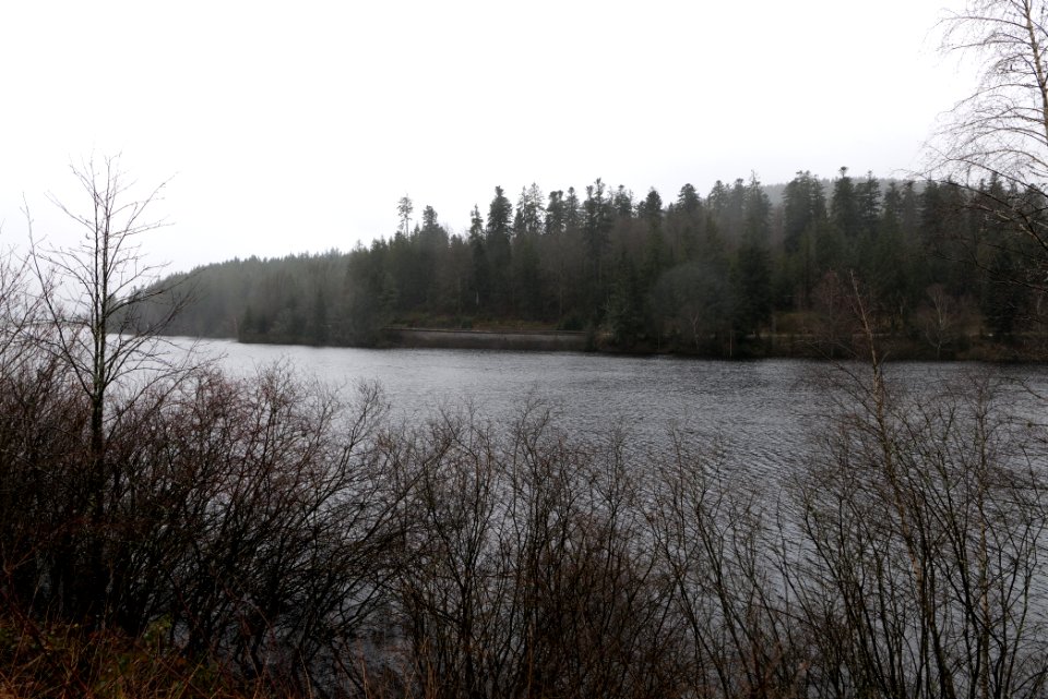 Schwarzenbachtalsperre 2020-03-10 02
