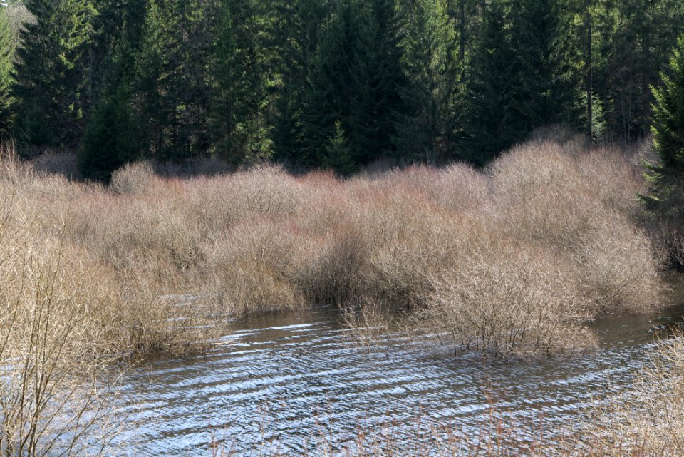 Schwarzenbachtalsperre 2020-03-15 06