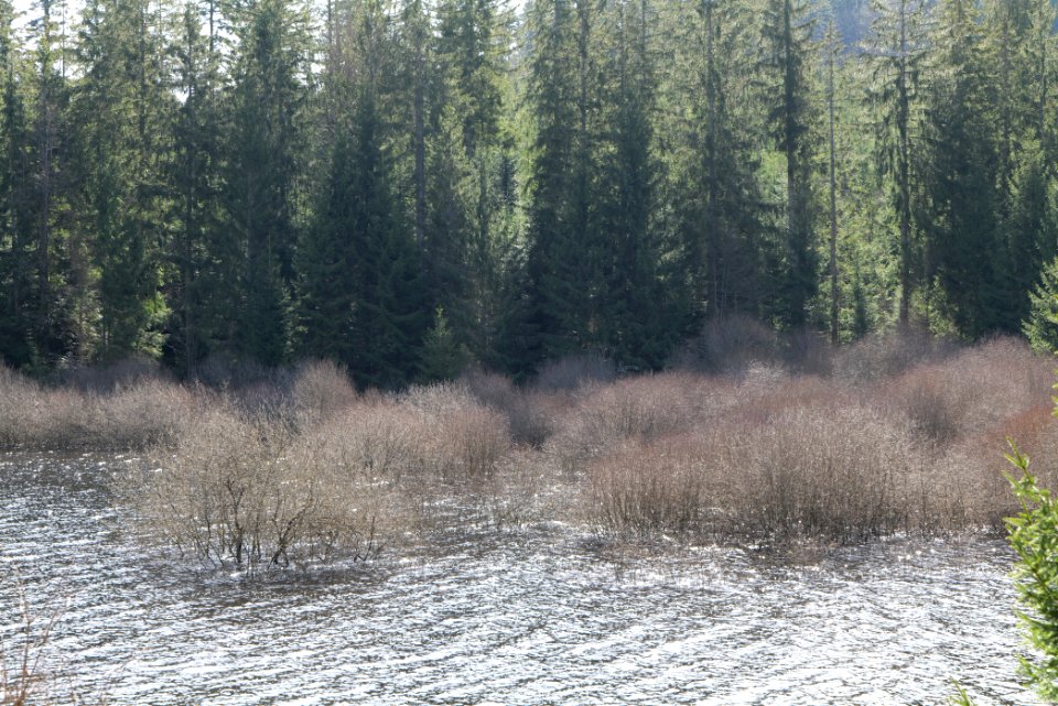 Schwarzenbachtalsperre 2020-03-15 13