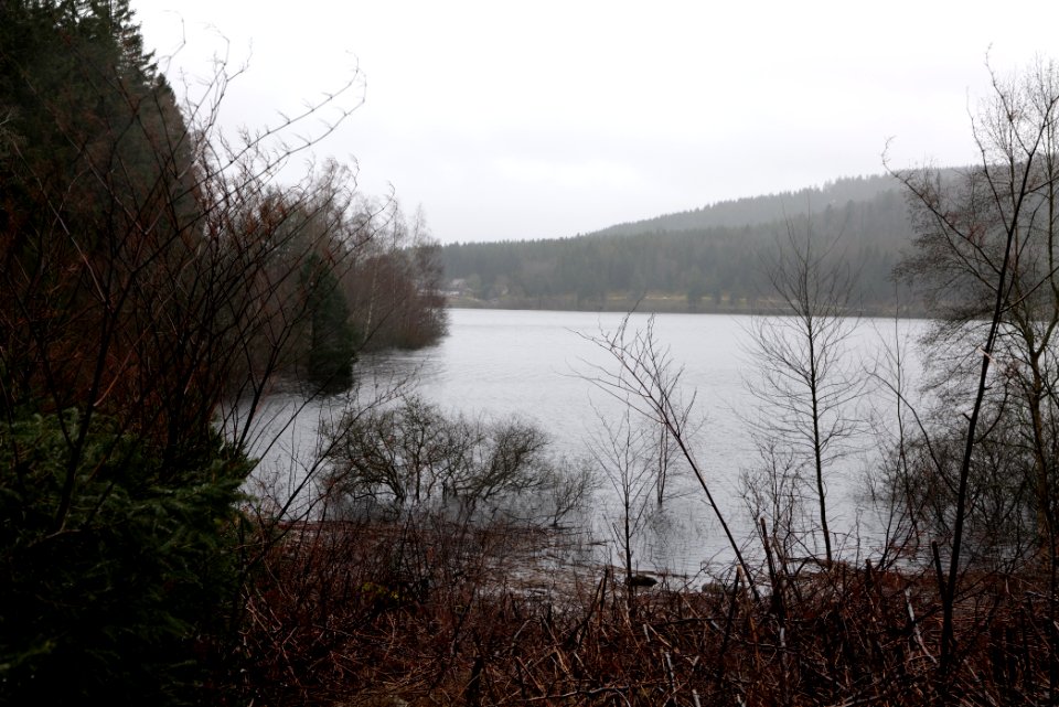 Schwarzenbachtalsperre 2020-03-10 18