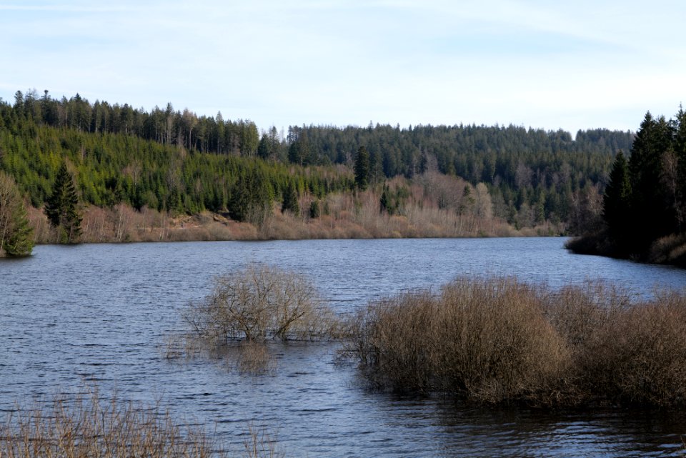 Schwarzenbachtalsperre 2020-03-15 03