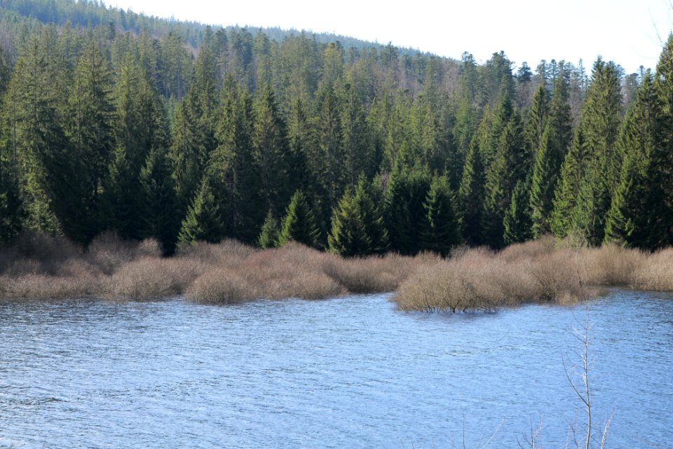 Schwarzenbachtalsperre 2020-03-15 17