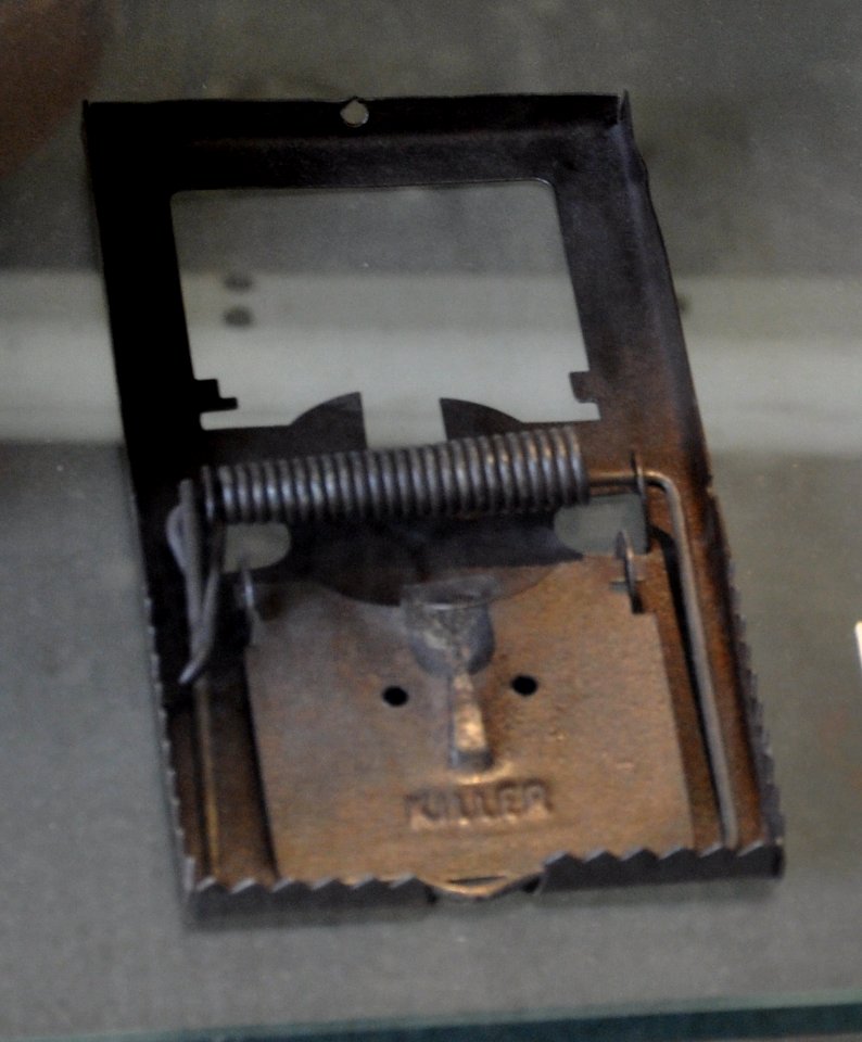 Schwetzingen Ausstellung Rattenfalle Killer