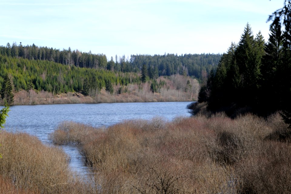 Schwarzenbachtalsperre 2020-03-15 02
