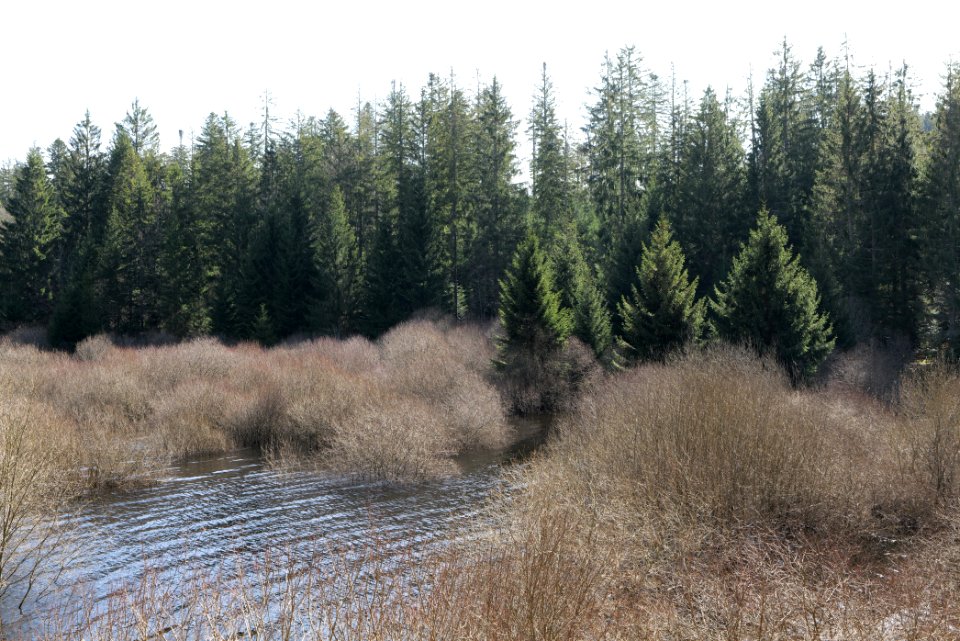 Schwarzenbachtalsperre 2020-03-15 10