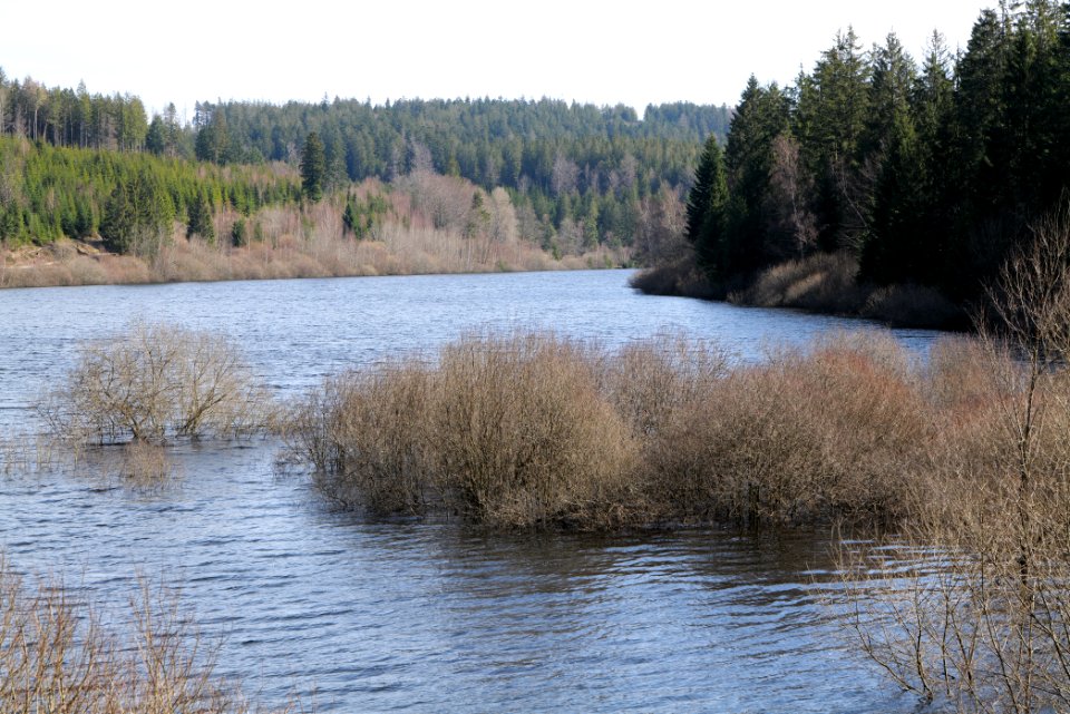 Schwarzenbachtalsperre 2020-03-15 07