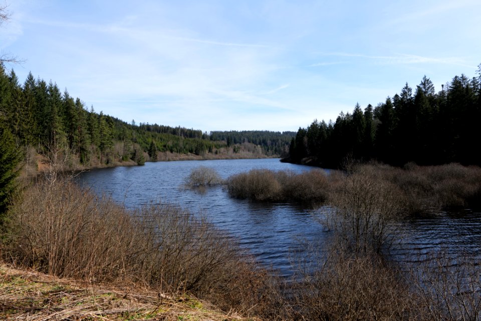 Schwarzenbachtalsperre 2020-03-15 05