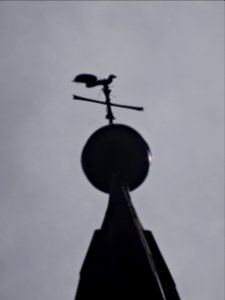 Schweinsteg 12