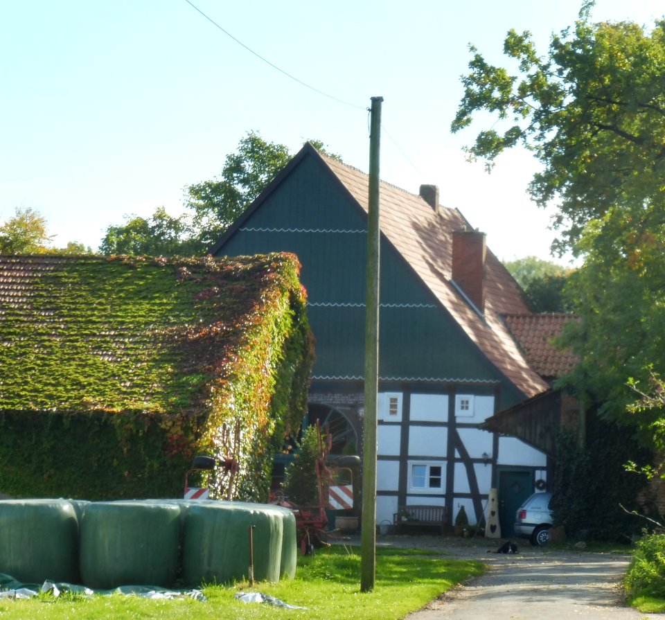 Schwelle - Schweller Straße 18
