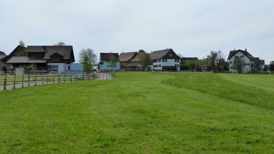 Schweizersholz