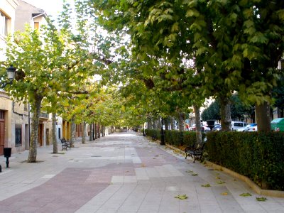 Santo Domingo de la Calzada - Paseo del Espolón 2