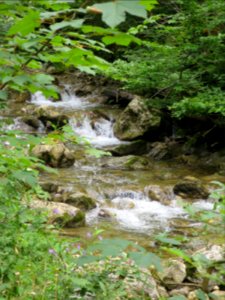 Schwarzenbachtal Kreuth 1