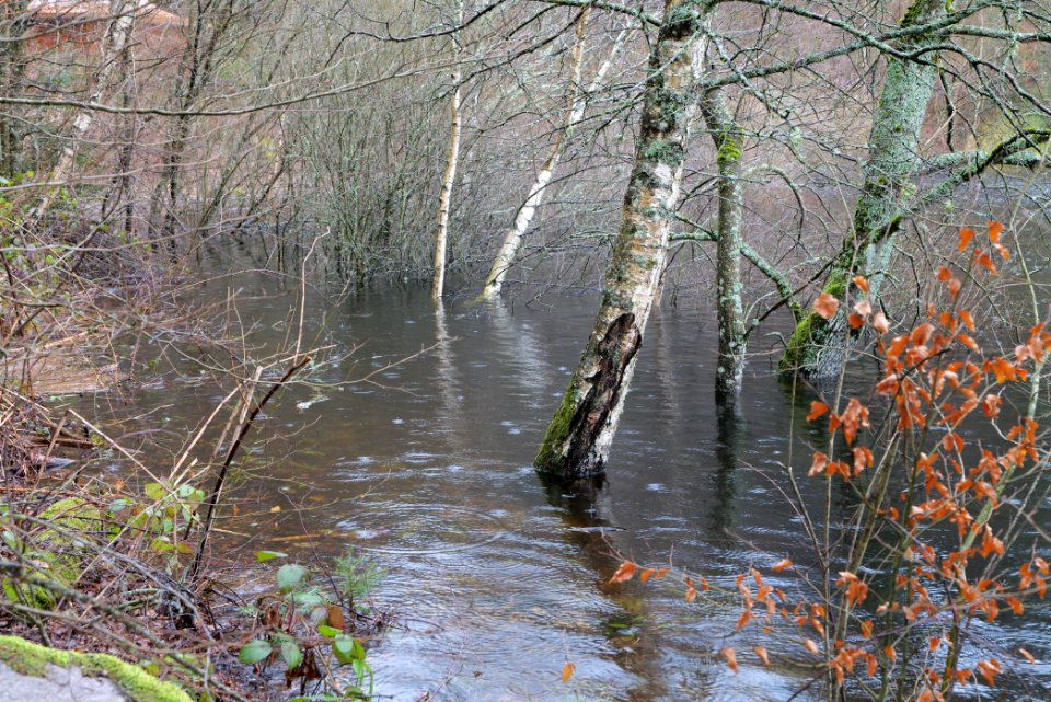 Schwarzenbachtalsperre 2020-03-10 16
