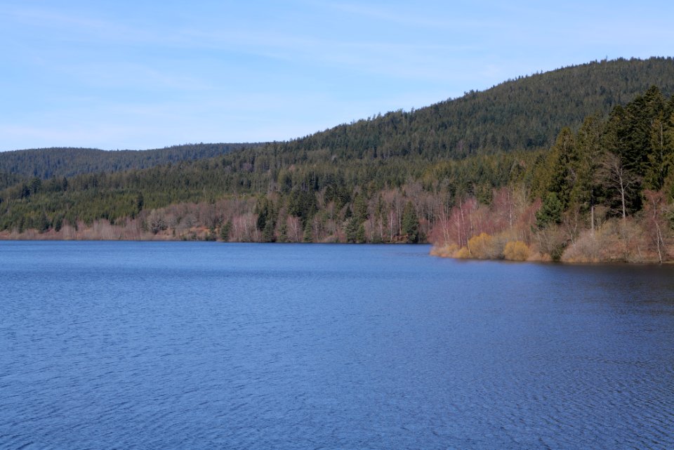 Schwarzenbachtalsperre from dam 2020-03-15 11