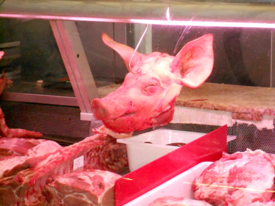 Schweinekopf beim Metzger