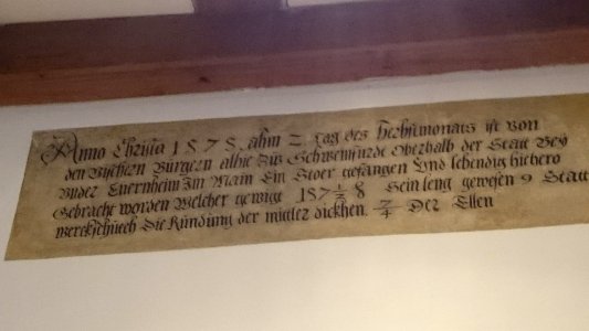 Schweinfurt fische 3