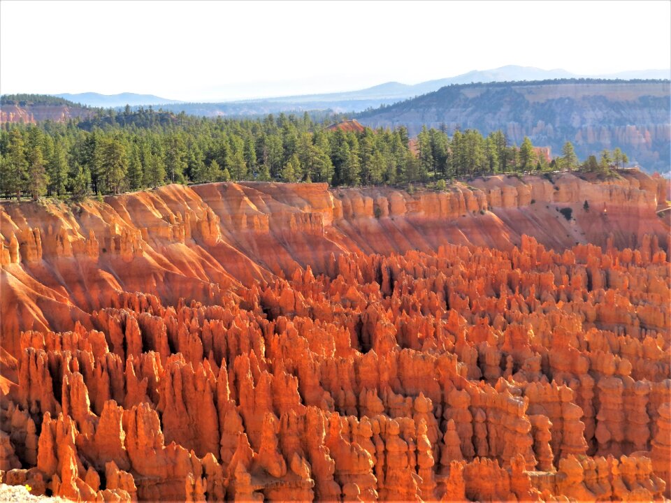 Sunrise red sandstone hiking