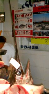 Schwertfisch Conil