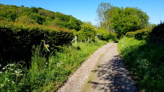 Schweiberg-wegkruis Dal Bissenweg (1)