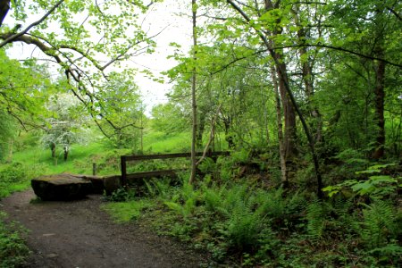 Scotland Mill, Adel 2019-05-17 (3)