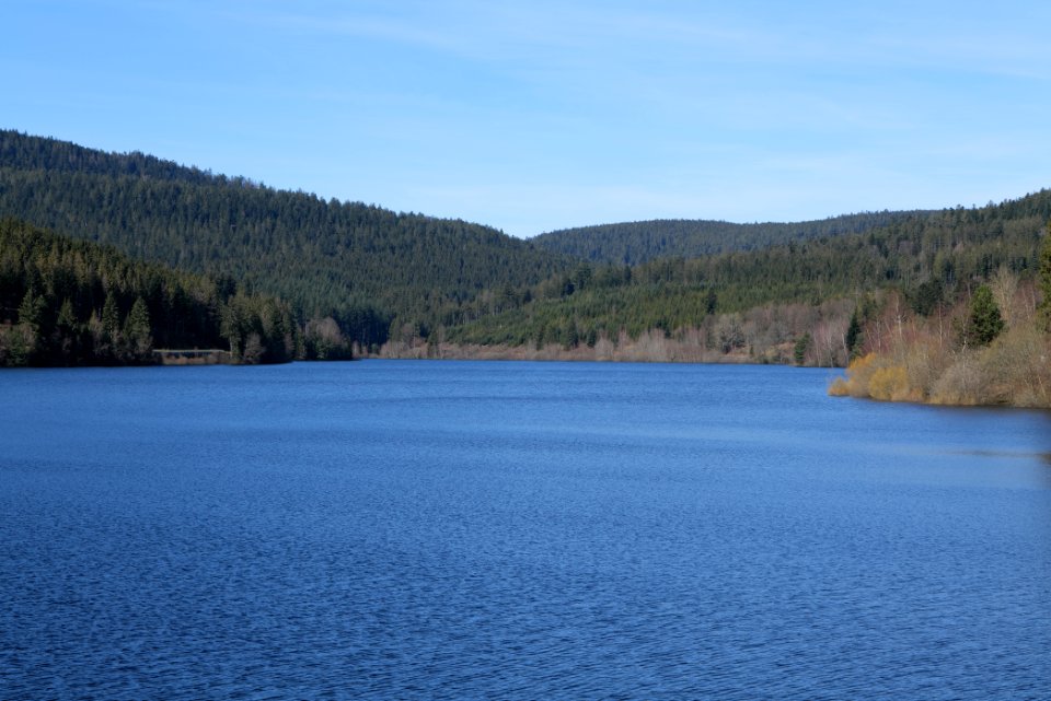 Schwarzenbachtalsperre from dam 2020-03-15 07
