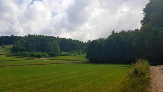 Schweiberg-De Molt (6)