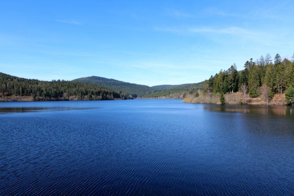 Schwarzenbachtalsperre from dam 2020-03-15 03