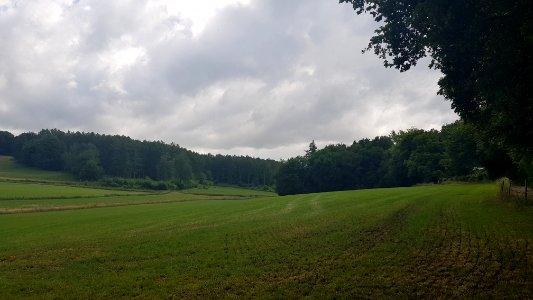 Schweiberg-De Molt (1)
